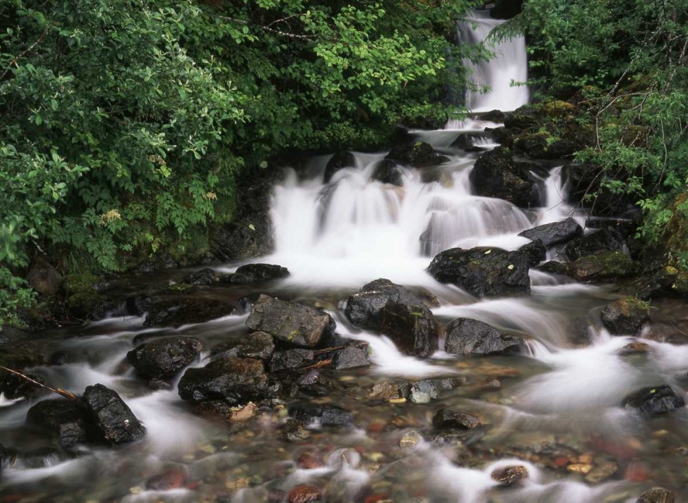 Canada, BC, Prince Rupert, waterfall art print by Mike Grandmaison for $57.95 CAD